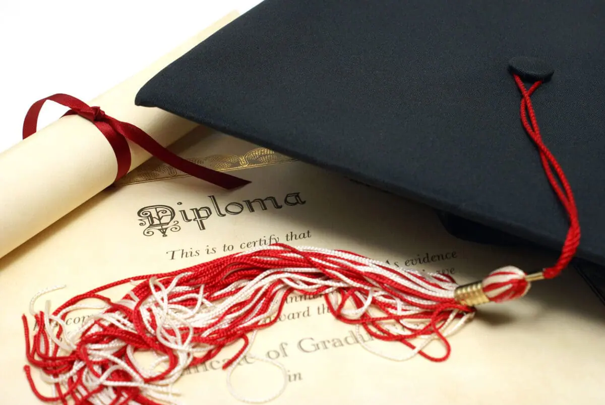 Bachelors and Masters